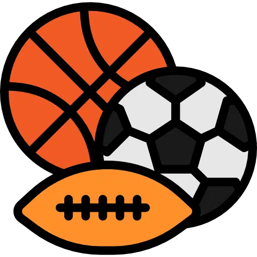 Prestige Palm Court Sports Facilities